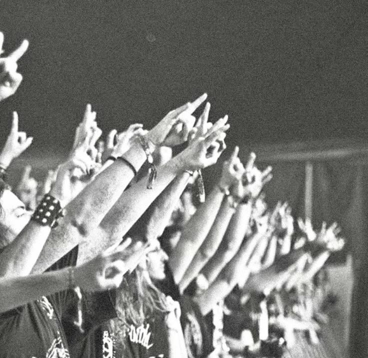 Chaos, Chords & Culture: The Heart of Pop Punk and Punk&nbsp;Rock