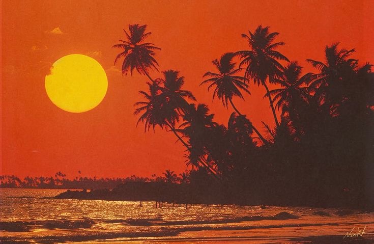 One Love, One Rhythm: Riding the Waves of&nbsp;Reggae